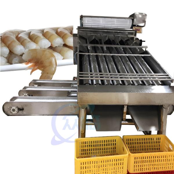 Farmed shrimp harvest rapid sorting and size specification machine Shrimp