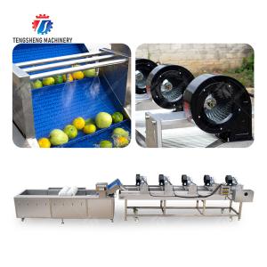 Fruits cleaning and drying production line Fruit Vegetable FOOD processing