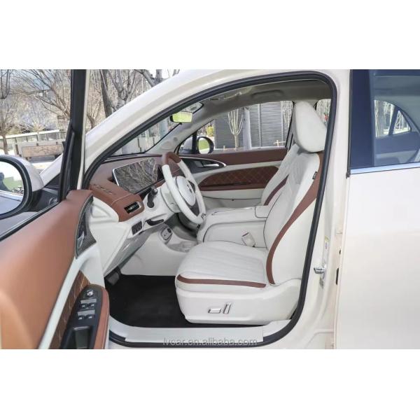 ORA Good Cat 401SUV Electric car Adult Edition Left Steering Front disc Rear dsic 2023 GWM