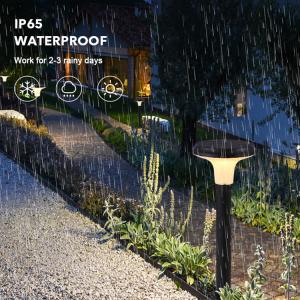 Customize Outdoor LED Solar Pathway Lights Waterproof For Decoration