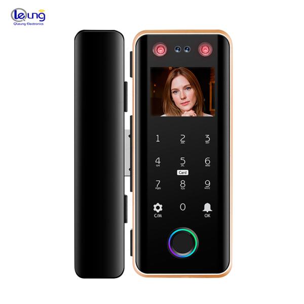 G5S Face Recognition Fingerprint Card Passcode Electronic Glass Door Lock for Office