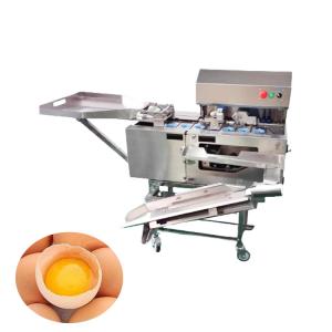 Automatic Egg Processing Machine Breaker & Yolk Separator 220V 304 Stainless
