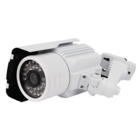 1/3' SONY CCD, 30M IR Range LED, DWDR, OSD, 650TVL IP66 Waterproof Infrared