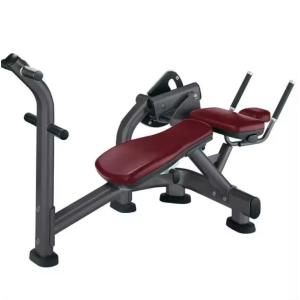 Adjustable Bench Commercial Gym Equipment for Back Extension and ABS Machine Pin