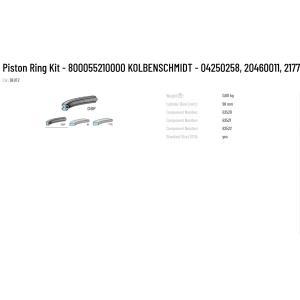 Tested and Guaranteed Piston Ring Kit 800055210000 KOLBENSCHMIDT 04250258