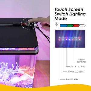 Smart 4 Gallon Desktop Betta Office Fish Tank