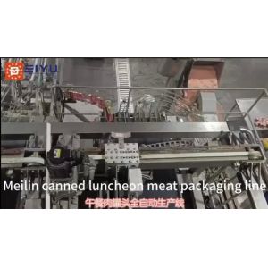 32,000 Cph Full Automatic Canned Meat Production Line with 500-10000kg/Day