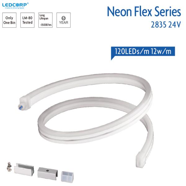 All New Series LED Neon Flex 24V 12W 8x16mm IP66 5M/Roll Mini Size for Decoration Lighting