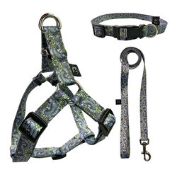 5kg Dog Harness Set