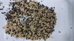 Candle Nut Color Sorter chestnut Separator Selector Machine Sorting for Nut