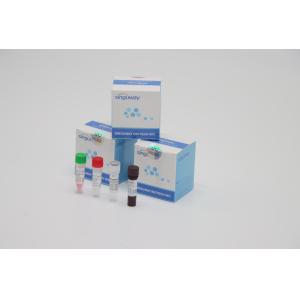 China Lab Reagent RT PCR Test Kit High Stability For Varicella Zoster Virus VZV Detection on sale