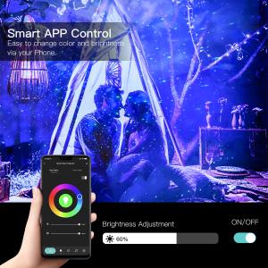 APP Control Starry Laser Projector 4100K For Home Theater Decoration