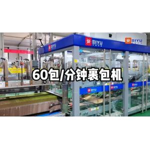 CE ISO Certified Automatic Wrap Around Case Packer with Schneider Electrics for