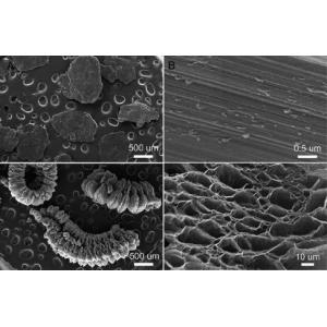 High Carbon Expandable Graphite Powder As Inflaming Retardant