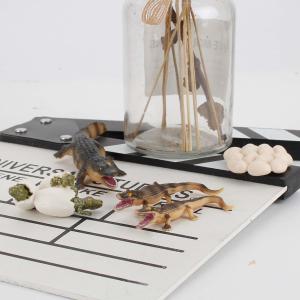 4 PCS Wild Wildlife Animal Figures Creatures Action Models Life Cycle Crocodile