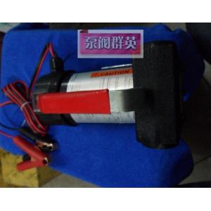 China 12V fuel transfer pump mobile car pump china export on sale