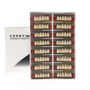 Cheap Easy to Use Dental Acrylic Resin Teeth with High Stain Resistance for sale