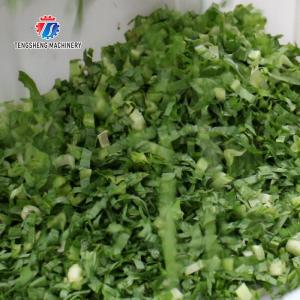 2.25KW 140KG 1.5HP Frequency conversion adjustable belt vegetable slicer