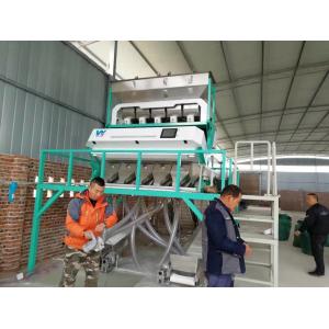 AI Self Learning CCD Optical Multifunction India Garlic Color Sorter High