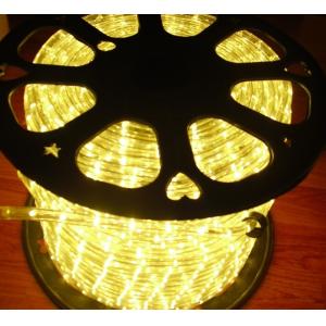 building facade led rope lights 2 wire 12/24v rope duralights