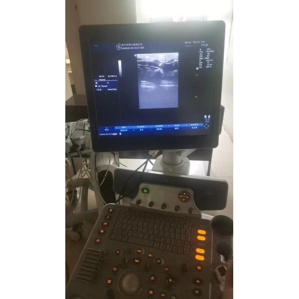 Quality GE original imaging ultrasound machine Logiq P6 wholesale