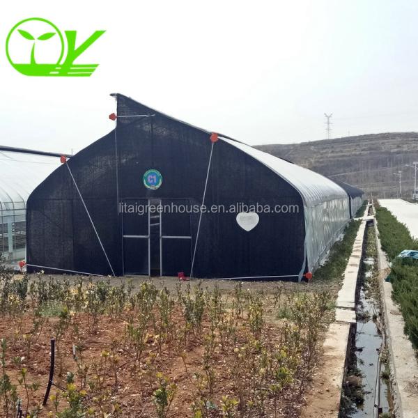Quality Single-Span Agricultural Greenhouse Mini Mushroom Greenhouse with Optional Irrigation wholesale