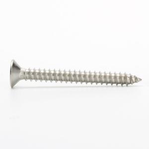 SS304 SS316 Stainless Steel Self Tapping SS Deck Screw