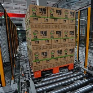 Automatic Gantry Palletizer Water Bottle Case Box Carton Palletizer