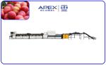 380V/50Hz Computer Control Intelligent Plum Sorting Machine