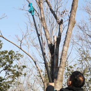 Customized Cordless Electric Scissors 25mm Tree Pruner Professional Pruning