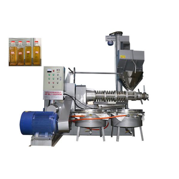 400 - 750kg/H High Oil Yield Screw Oil Press Machine Alloy Materials