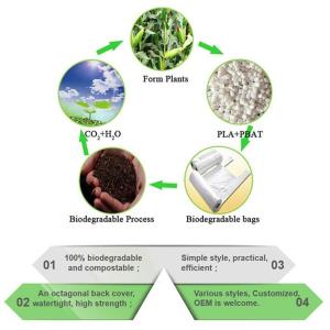 OEM cheap biodegradable kitchen disposable gloves with EN13432 BPI OK compost