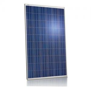 Cheap Black PV Solar Panels / Monocrystalline Silicon Solar Panels Water Resistance for sale