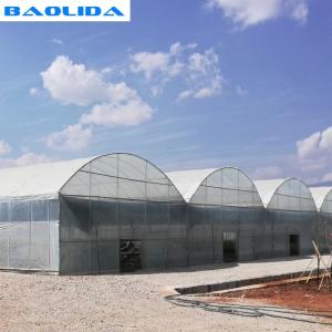 Grape Multi Span Greenhouse With Grape Trellising System To Malaysia