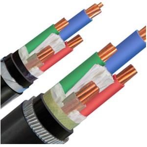 China N2X2Y LSZH Sheath Power Cable 10mm2 Low Smoke Halogen Free Cable Class 2 Conductor DJXcable with Armoured on sale