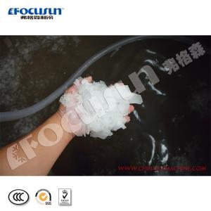 Fresh Water Large Capacity 25 Ton Flake Ice Making Machine with Bitzer