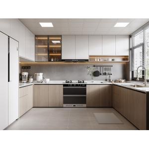 Particle Board Modern Kitchen Cabinet For Apartment With Quartz Countertop