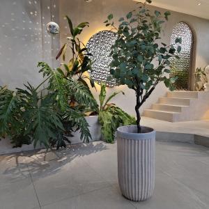 Fiber Clay Planter Frost Resistant And Drainage Holes Low-Maintenance Gardening