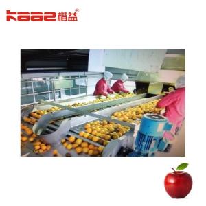 Cheap Use Weighing Intelligent Photoelectric Apple Sorting System For Apples for sale