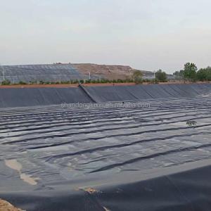 Smooth Surface 2mm PE Geomembrane Liner for Mine and Other Industrial Applicatio