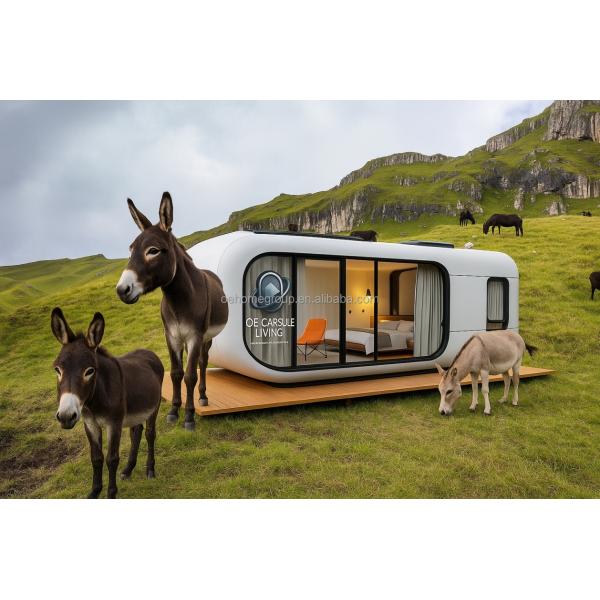 Luxury 20ft Modern Shipping Container House Small Residential Prefab Steel Structure For Hotels Villas Apartment Space