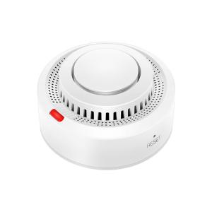 Tuya Remote Control Wifi Smoke Sensor Home Smoke Detection Monitor Work With