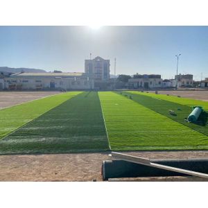 High-Quality Synthetic Football Turf with Perforated Backing Fire Resistance and