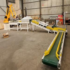 Cheap Warehouse Robotic Arm Palletizer 4 Axis Robotic Case Palletizing for sale