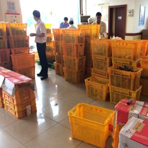 Beverage Bottle Perforated Plastic Crate For Tomatoes Other Fruits