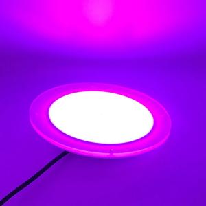 Underwater Soft Resin Filled DC12V Swim Pool Light