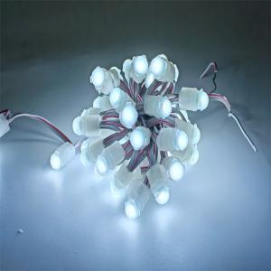 High quality outdoor IP67 waterproof Single Color 0.2W Led DC 12V 9mm Led Pixel