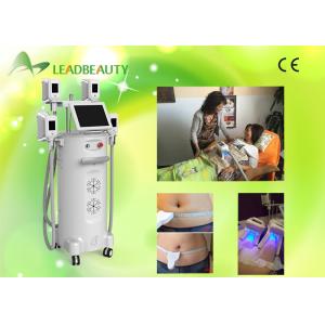 Effective Stubborn Fat Removal 4 Handles Freeze Countour 4 Fat Freeze cryolipolysis machine