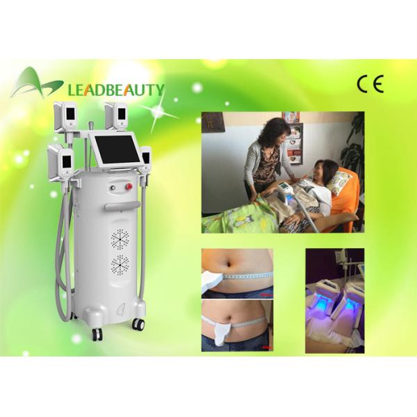 Quality Effective Stubborn Fat Removal 4 Handles Freeze Countour 4 Fat Freeze cryolipolysis machine wholesale