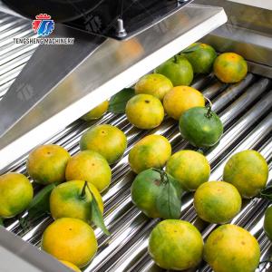 Fruits cleaning and drying production line Fruit Vegetable FOOD processing